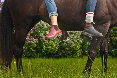 Are Blundstones Good for Horseback Riding? (Important)