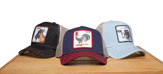 Best Goorin Bros Hats and Trucker Caps (Unisex)