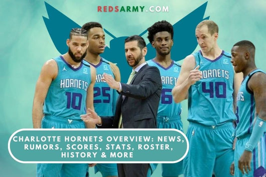 Charlotte Hornets Colors Meaning