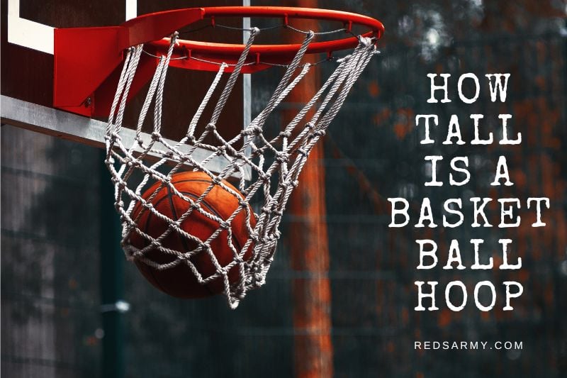 How Tall Is A NBA Basketball Hoop