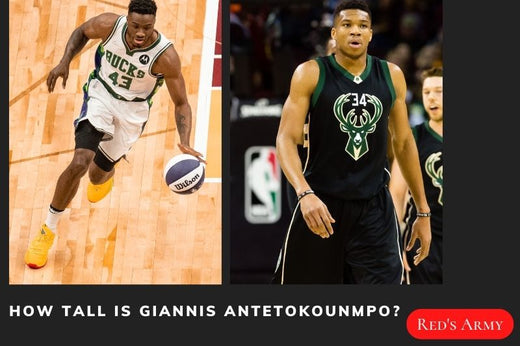 How Tall Is Giannis Antetokounmpo