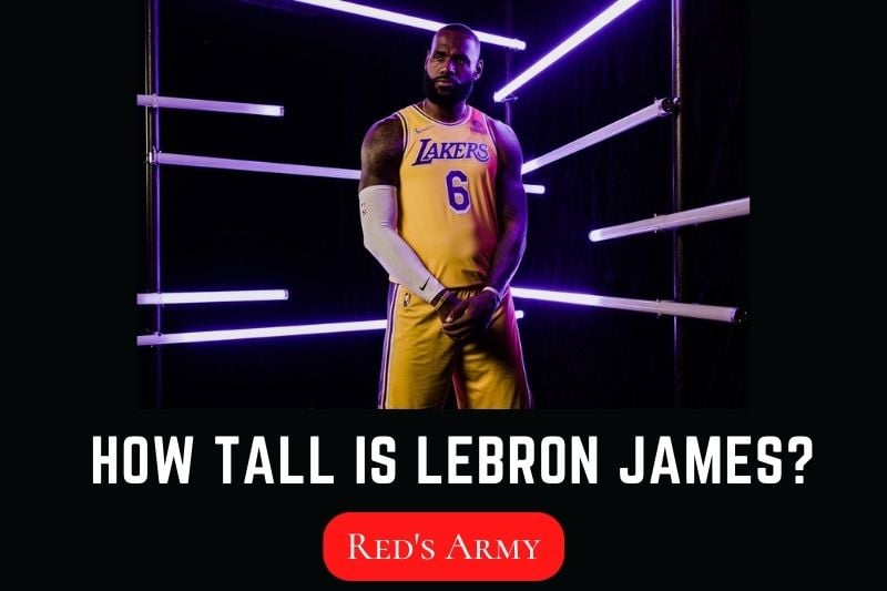 How Tall Is Lebron James