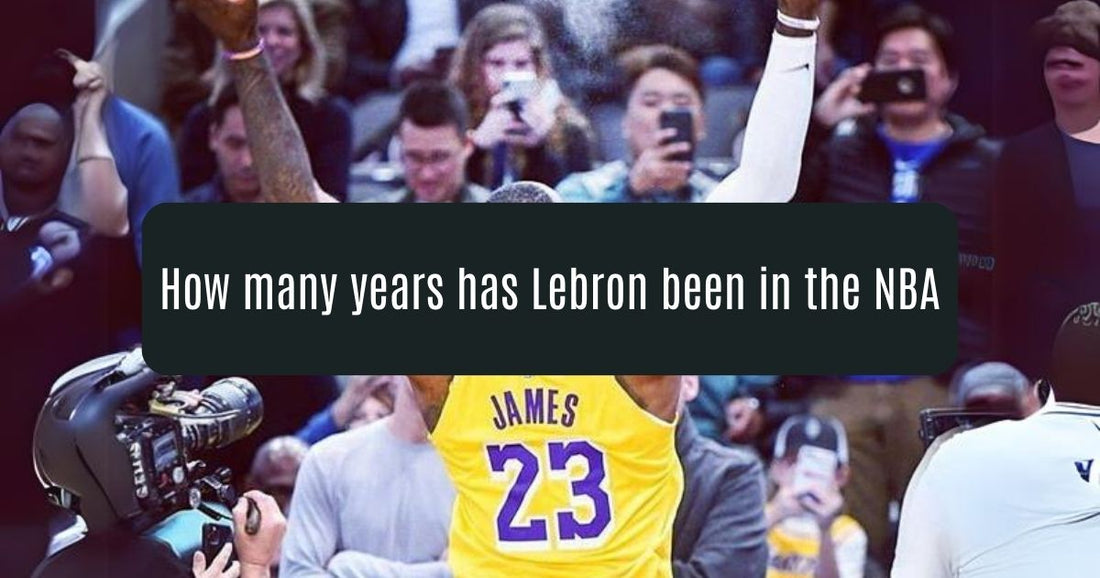 How many years has Lebron been in the NBA