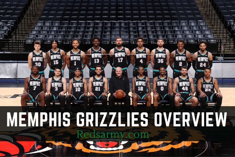 Memphis Grizzlies Colors Meaning