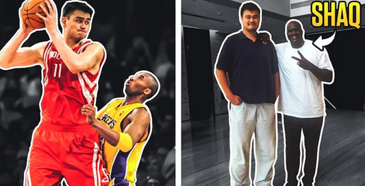 Wingspan of Yao Ming